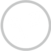 Icon Vegan